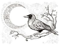 Crow Heart Crescent Moon